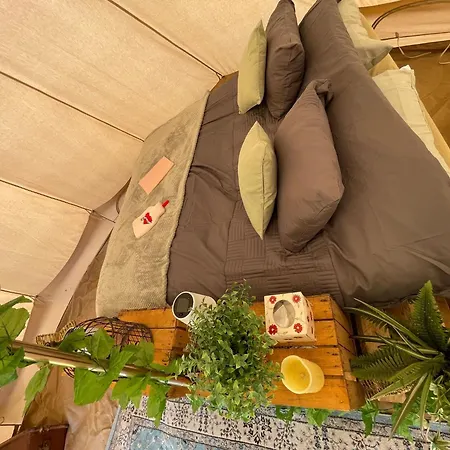 The Paddock Glamping - Clover 2 York