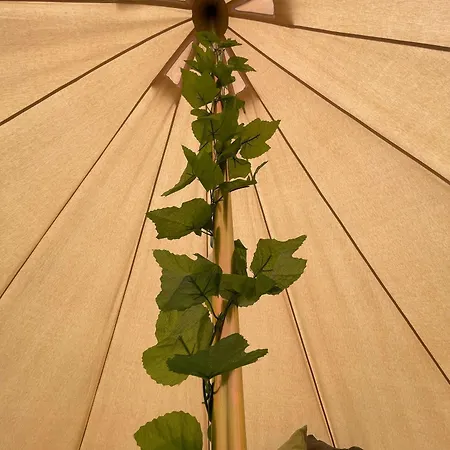 The Paddock Glamping - Clover 2 * York