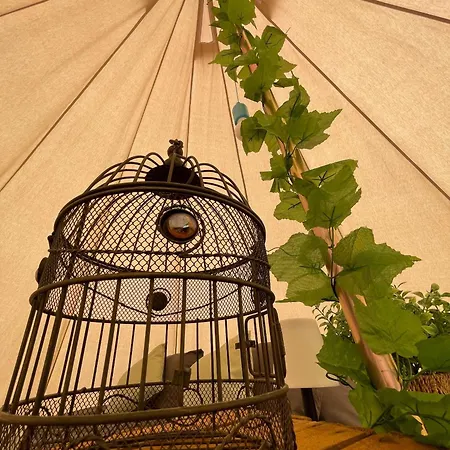 The Paddock Glamping - Clover 2 York